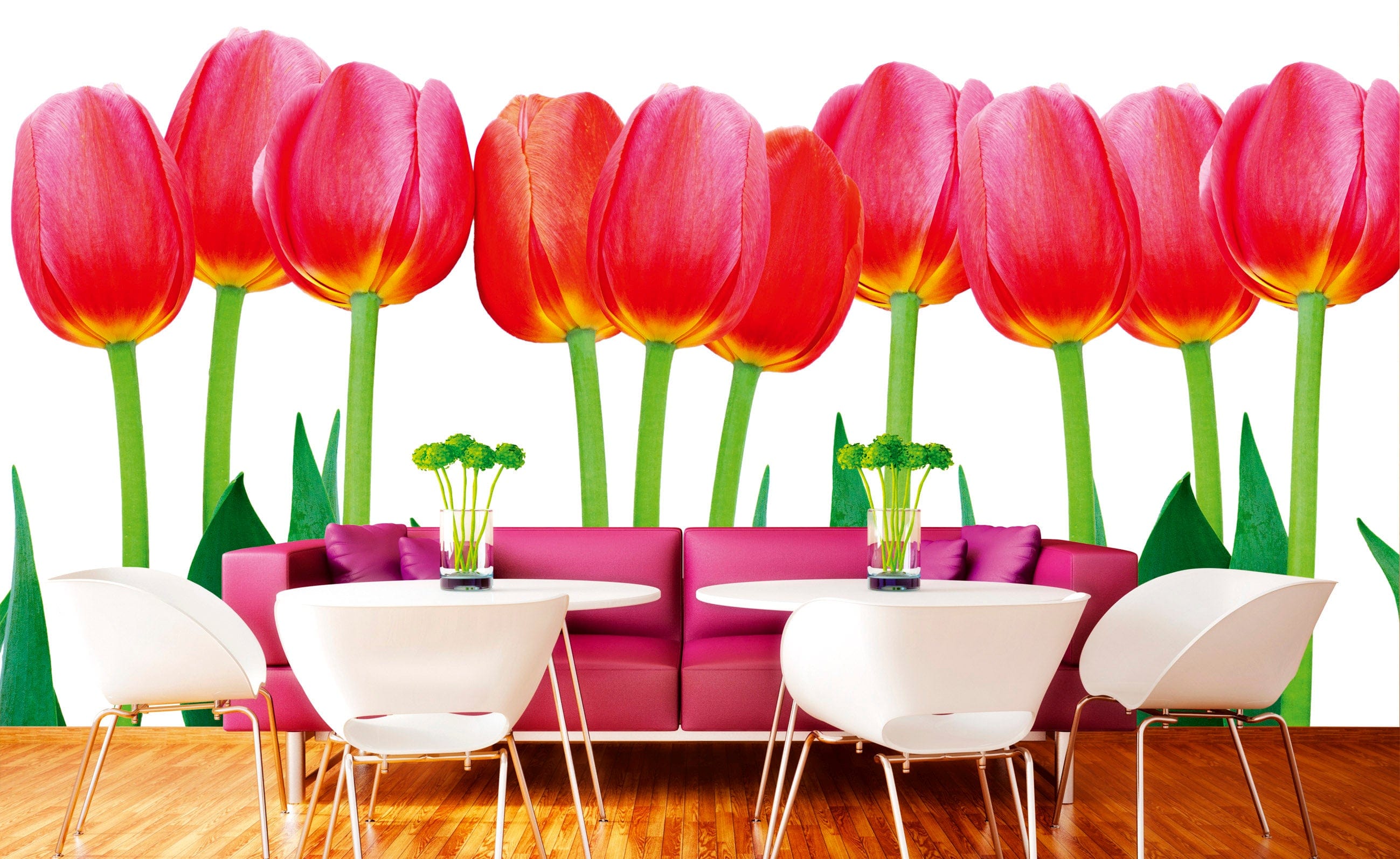 Flizelīna fototapetes - Sarkanas tulpes uz balta fona 375 x 250 cm D-ART