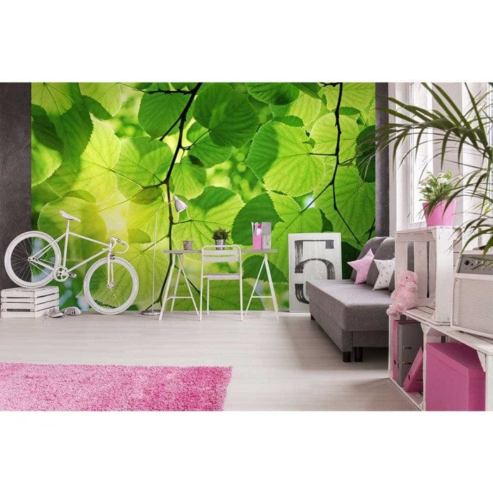 Flizelīna fototapetes - Zaļās lapas 375 x 250 cm D-ART