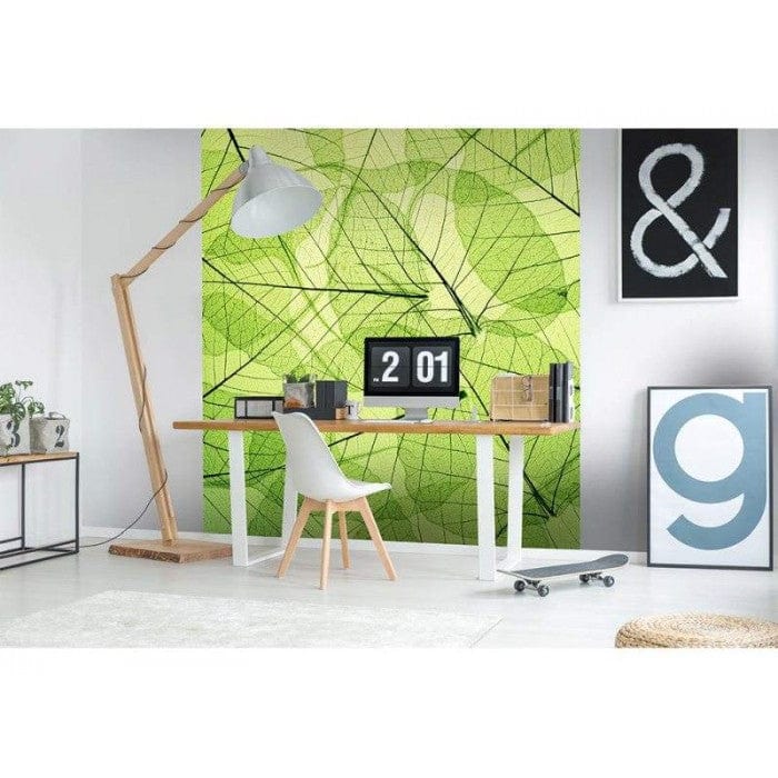 Flizelīna fototapetes - Zaļas lapas (dzislas) 225 x 250 cm D-ART