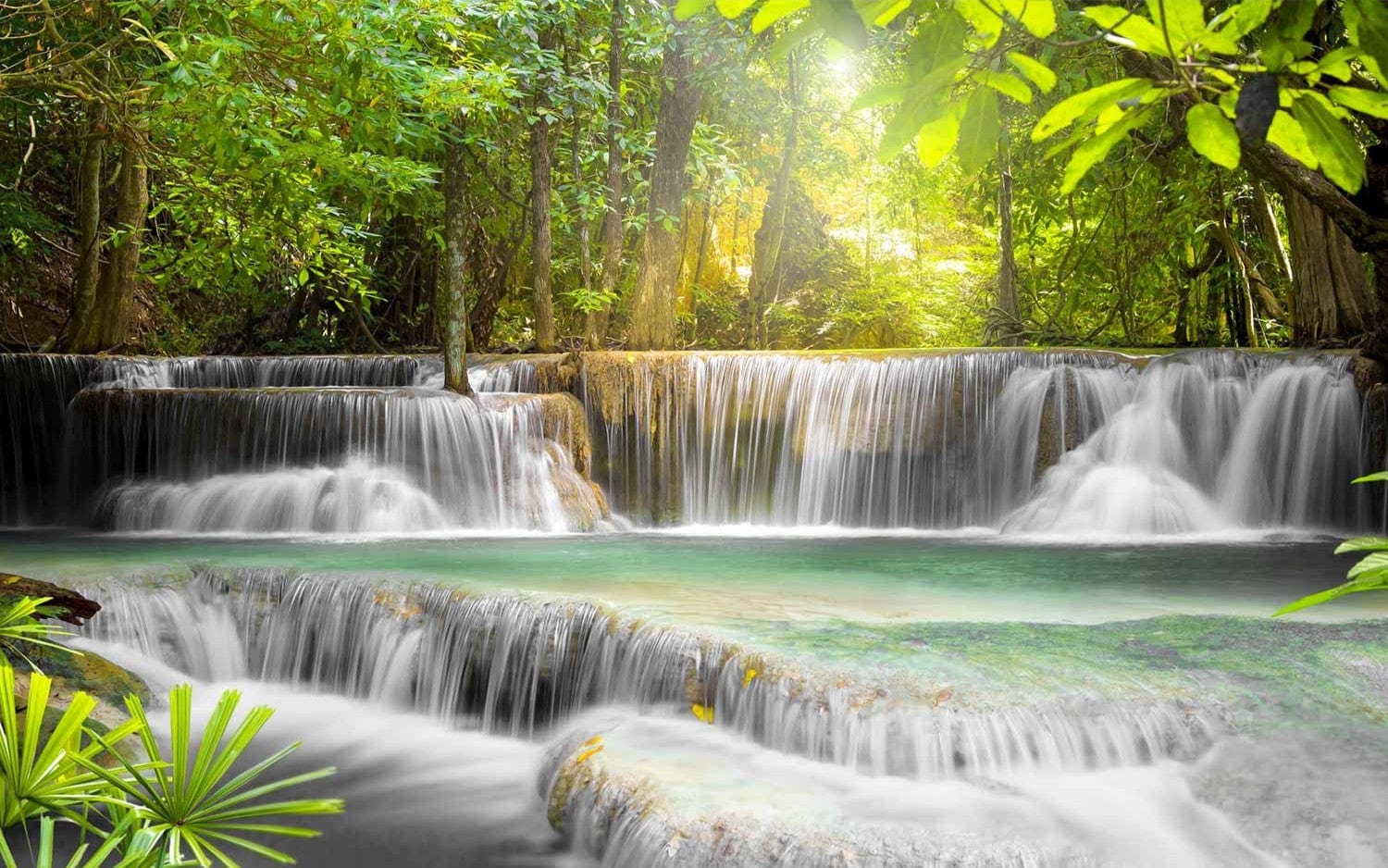 Fototapetes - ainava ar meža ūdenskrītumu, 60024 E-interjers.lv