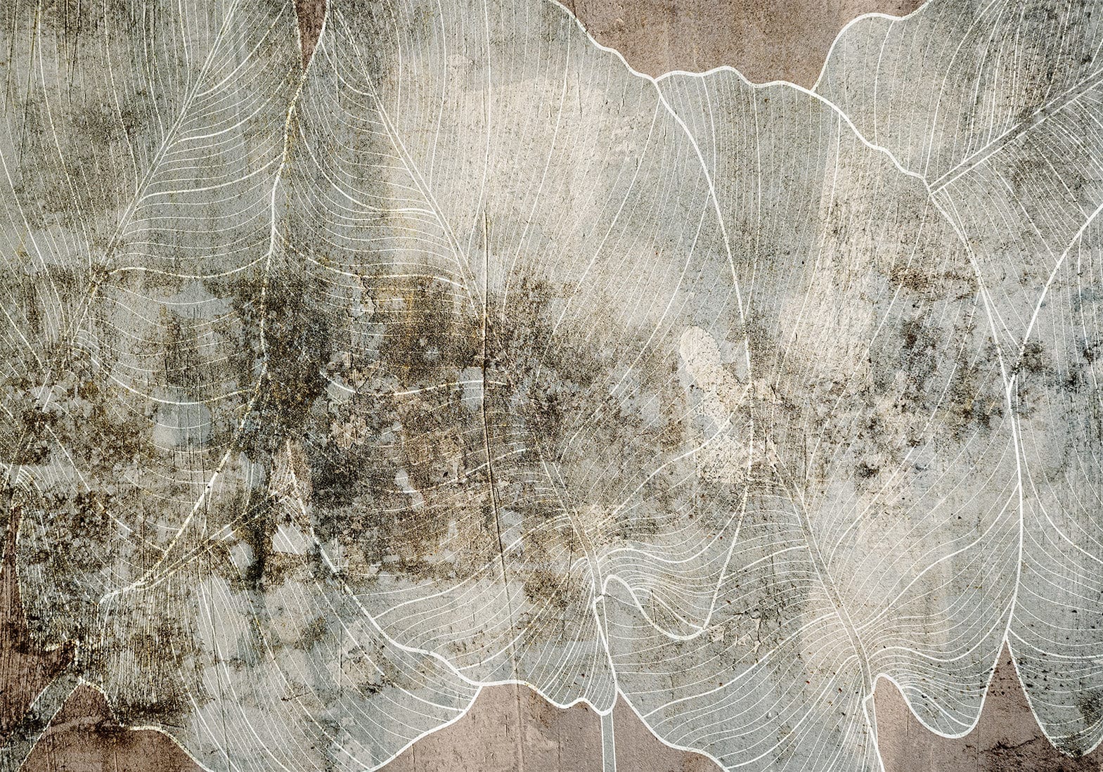 Fototapetes ar abstrakta rakstu - Augsts žests Tapetenshop.lv