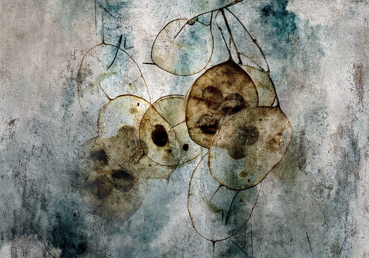 Fototapetes ar abstrakta rakstu - Daba un lunārija Tapetenshop.lv