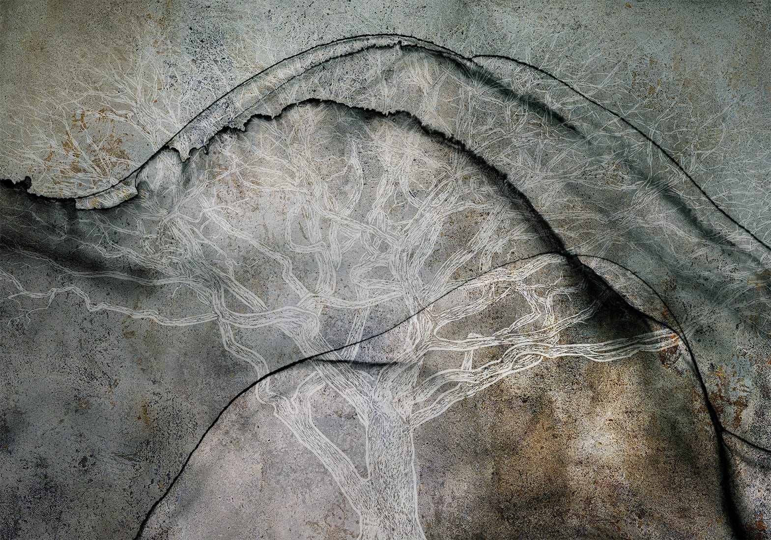 Fototapetes ar abstrakta rakstu - Koku alfabēts Tapetenshop.lv