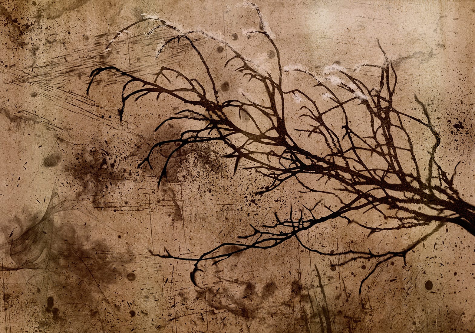 Fototapetes ar abstrakta rakstu - Vecs ķiršu koks Tapetenshop.lv