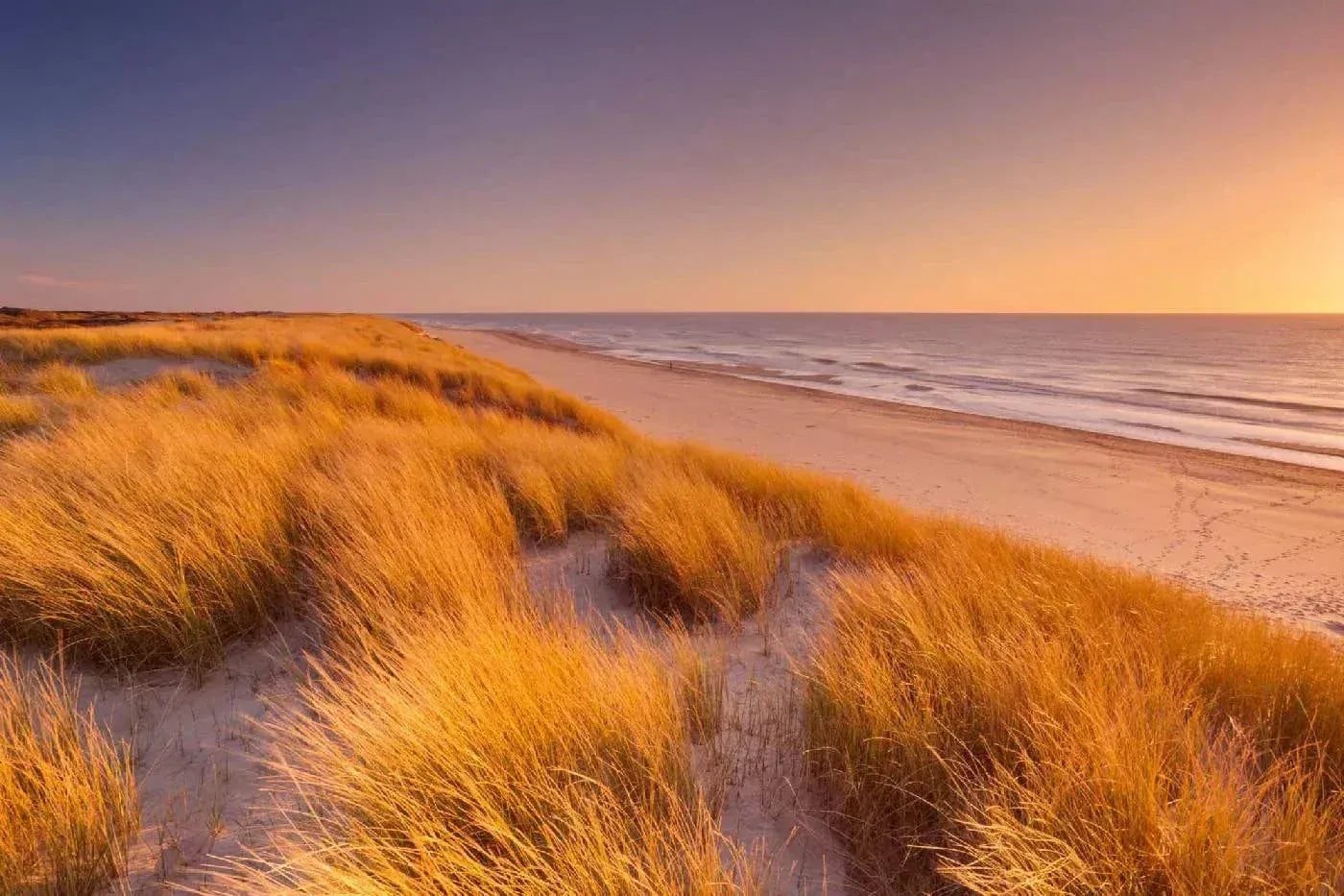 Fototapetes ar pludmali - Kāpas un saulriets, N3209, 375x250 cm D-ART