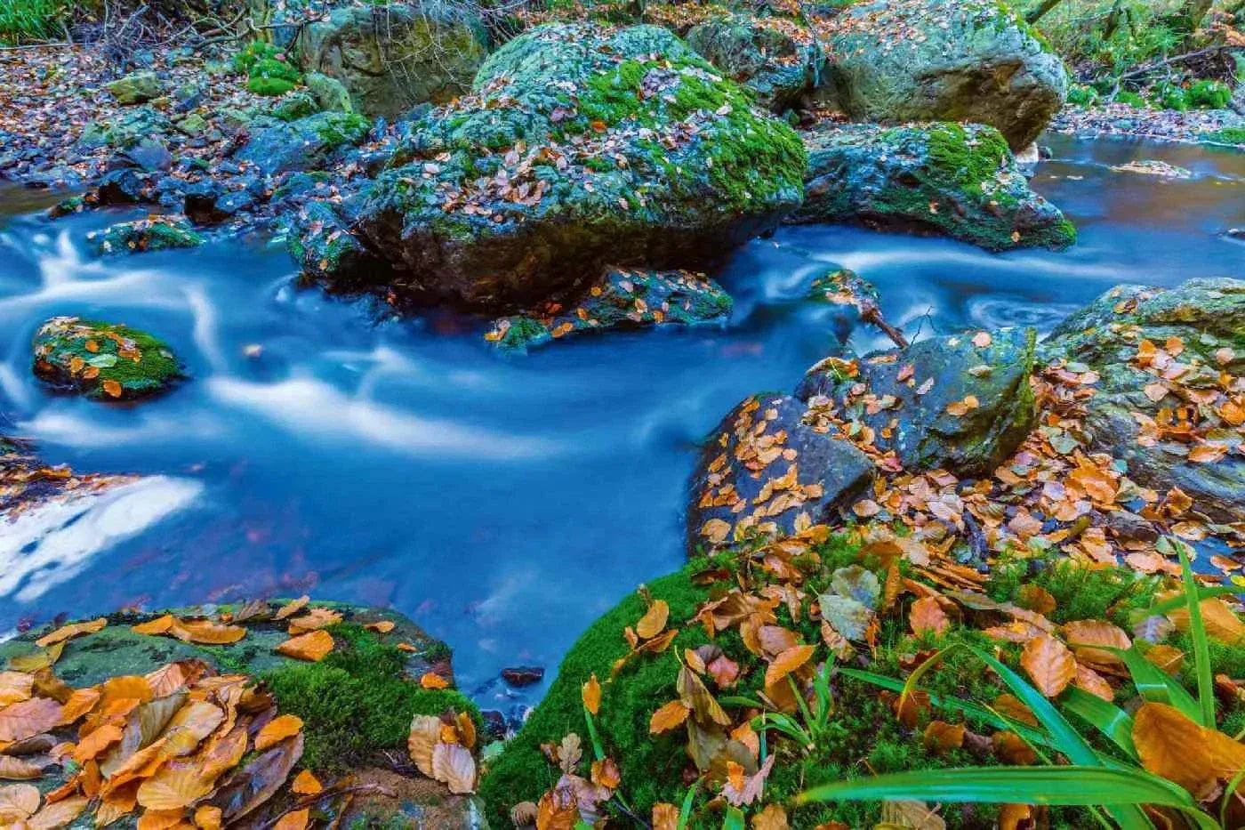 Fototapetes ar skaistu ainavu - Beļģijas Ardennes, 375x250 cm D-ART