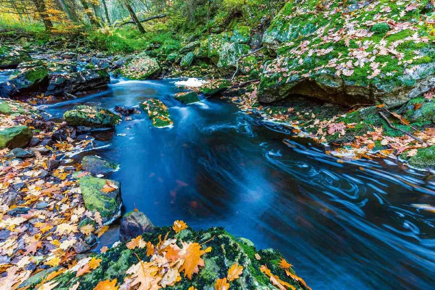 Fototapetes ar skaistu ainavu - Rudens straumes, 375x250 cm D-ART