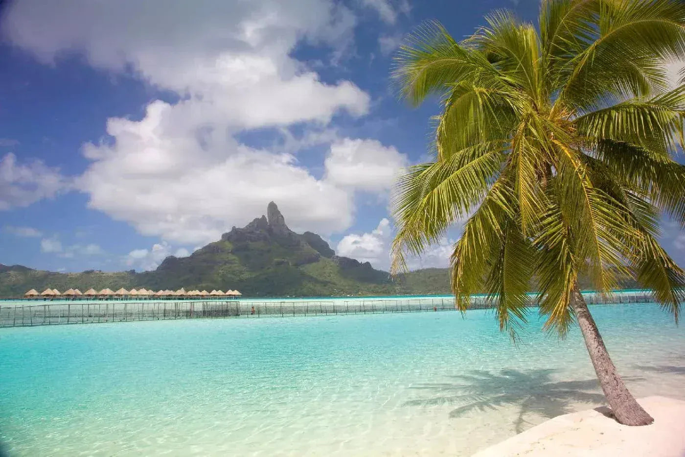 Fototapetes ar tropisko jūras skatu - Tropiskā lagūna, N3257, 375x250 cm D-ART