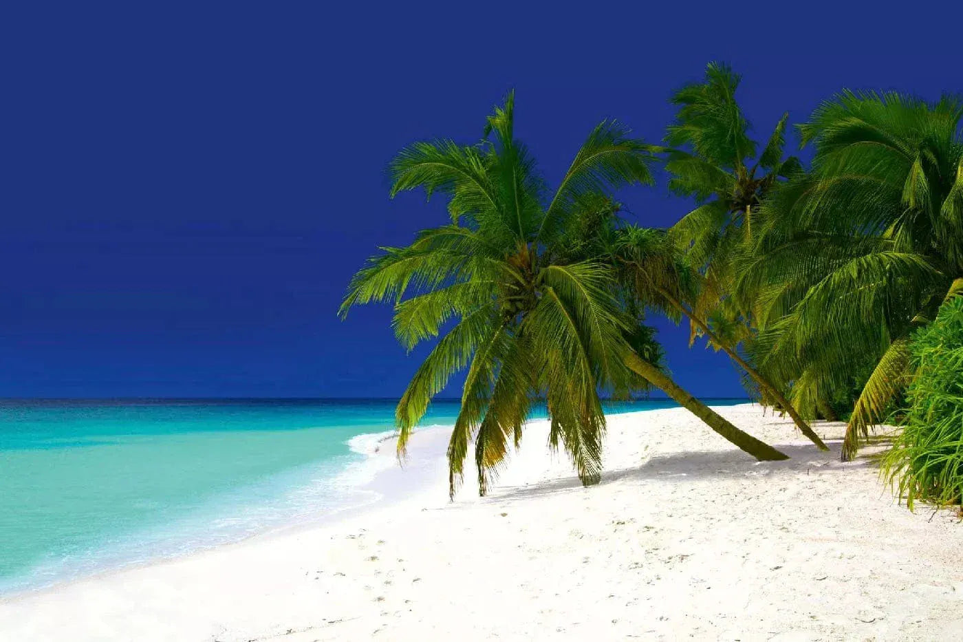 Fototapetes ar tropisko jūru- Baa atols, 375x250 cm D-ART