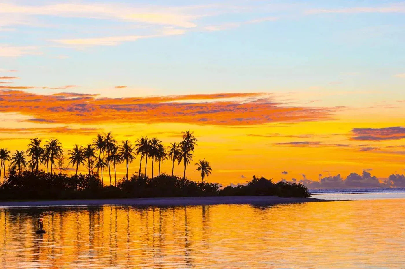 Fototapetes ar tropisko jūru- Palmas, 375x250 cm D-ART