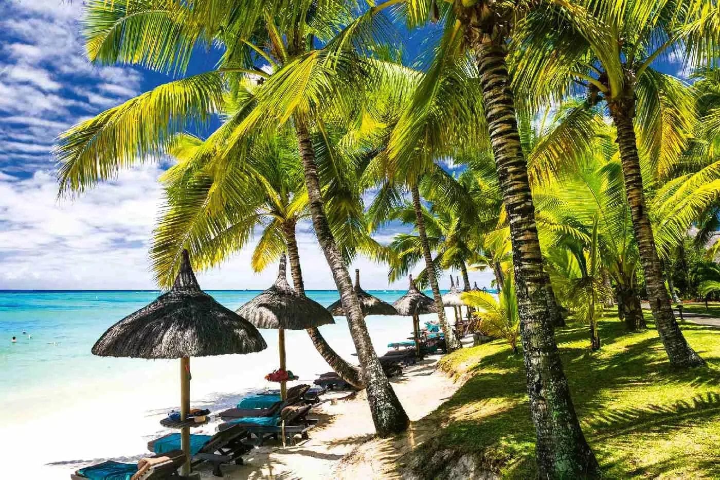 Fototapetes ar vasaras jūru - Balta smilšaina pludmale, N3233, 375x250 cm D-ART