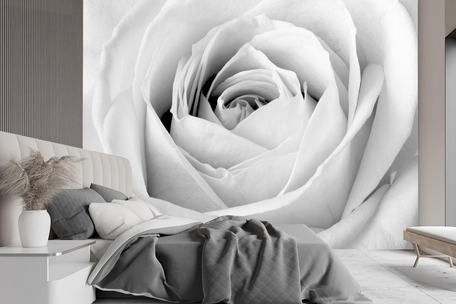 Fototapetes ar ziediem -, Baltie rožu ziedi makro Home Decor