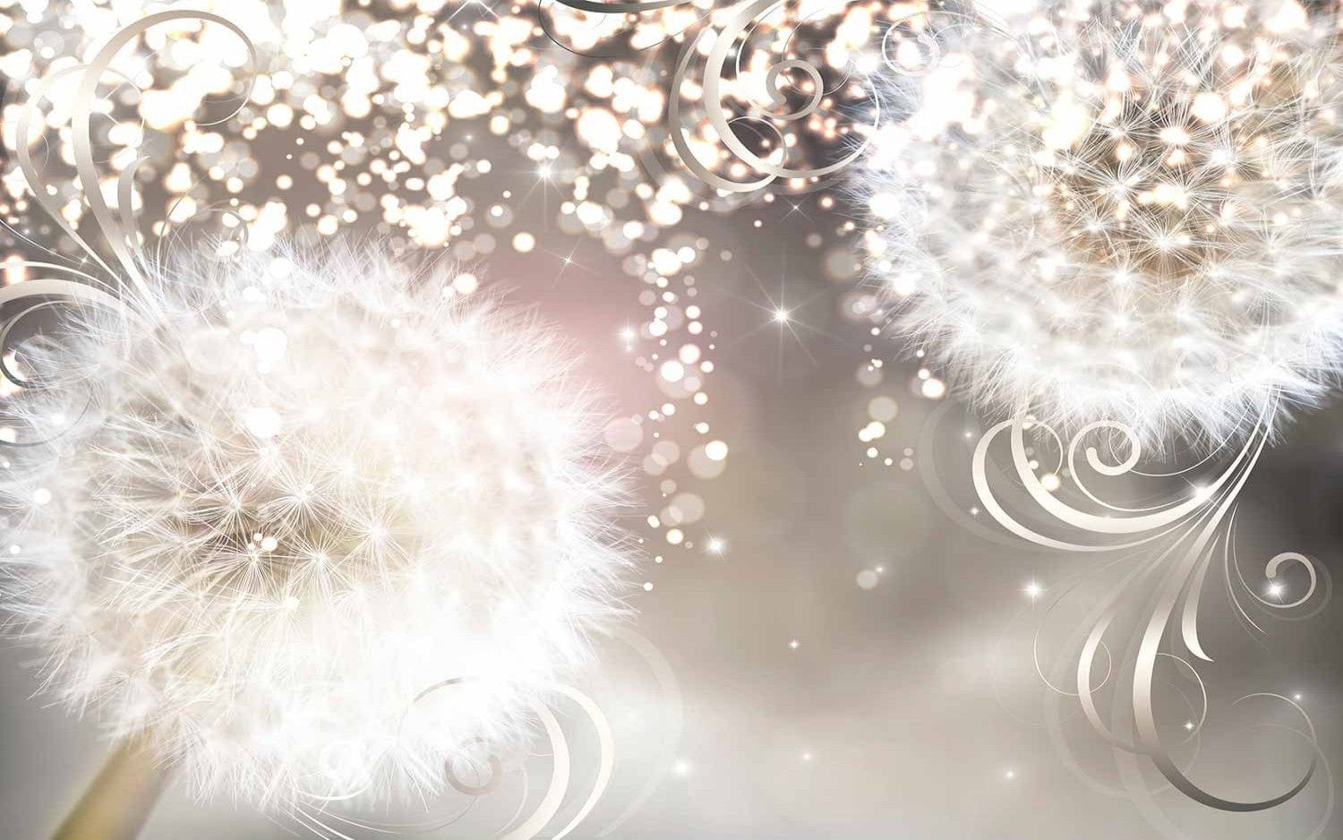 Fototapetes - Burvīgi ziedi - pienenes uz mirdzoša fona, 60142 E-interjers.lv