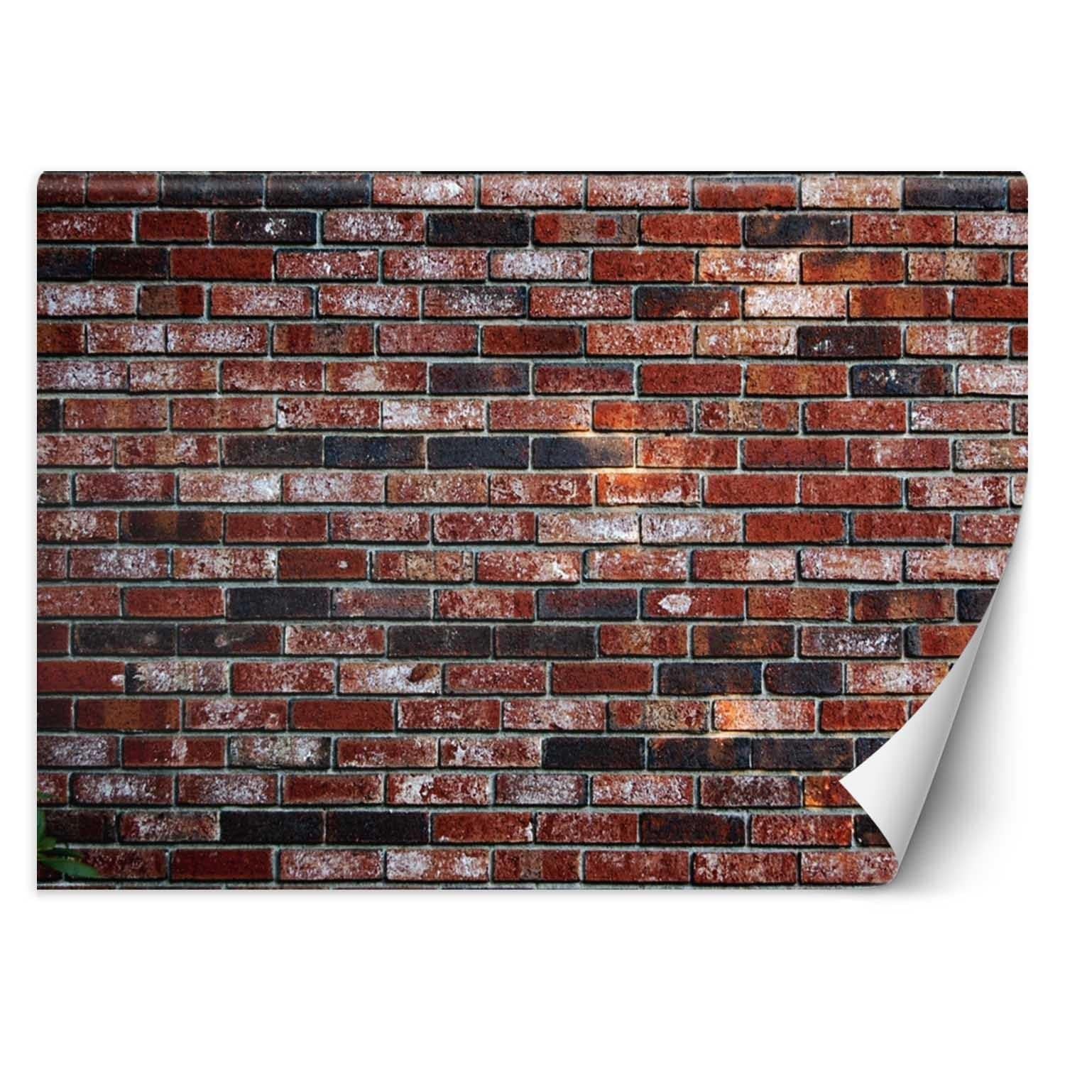 Fototapetes, Sarkano ķieģeļu, ķieģeļu siena Home Decor