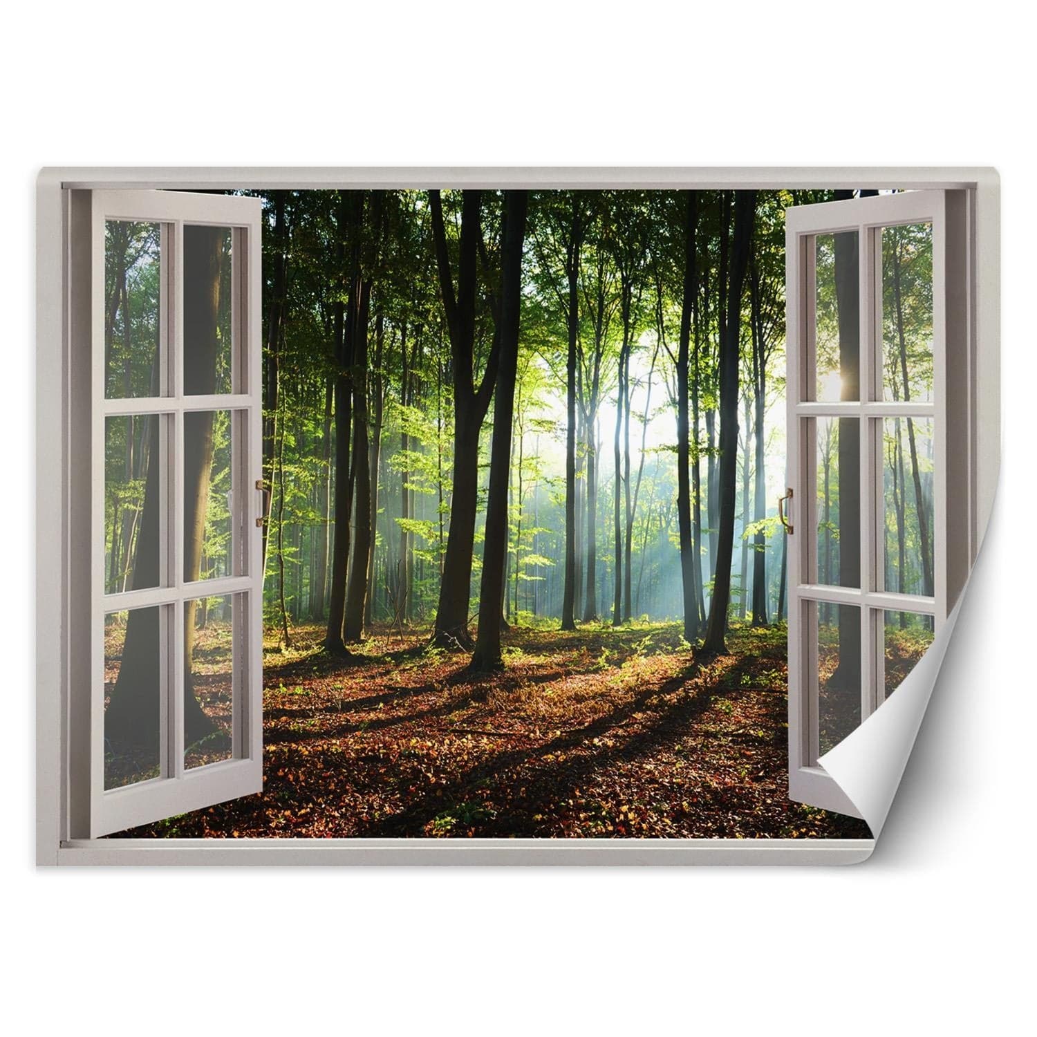 Fototapetes, Skats no loga no rīta mežā Home Decor