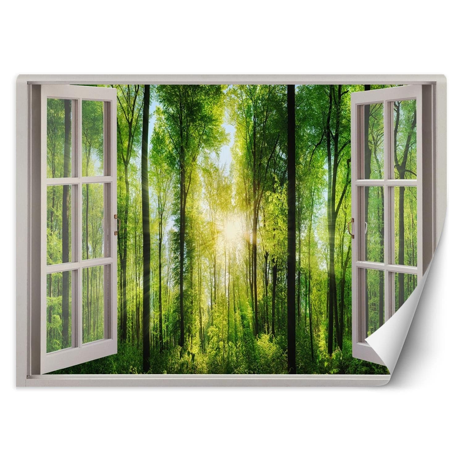 Fototapetes, Skats no loga uz saules stariem mežā Home Decor