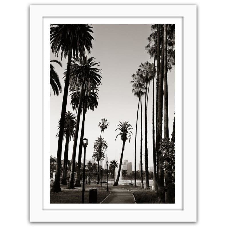 Glezna baltā rāmī - View of the park with palm trees Home Trends DECO