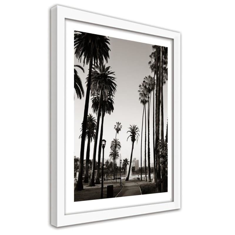 Glezna baltā rāmī - View of the park with palm trees Home Trends DECO