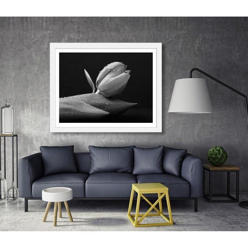 Glezna baltā rāmī - Water drops on the tulip Home Trends DECO