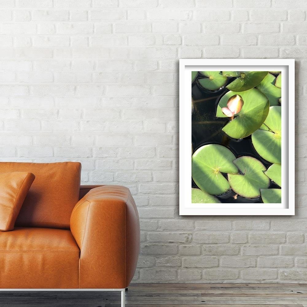 Glezna baltā rāmī - Water Lily Bud Home Trends DECO