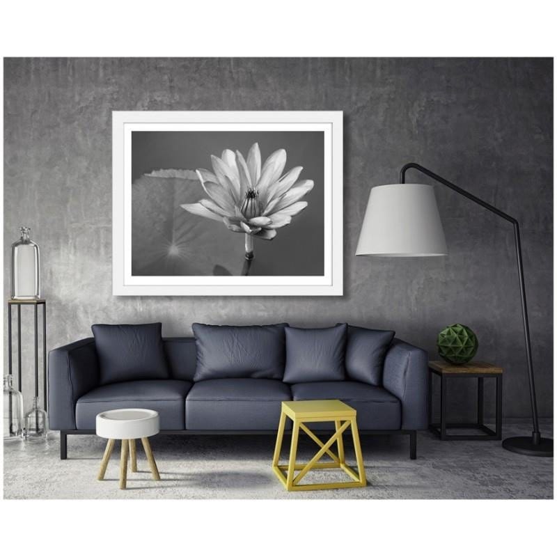 Glezna baltā rāmī - Water lily Home Trends DECO