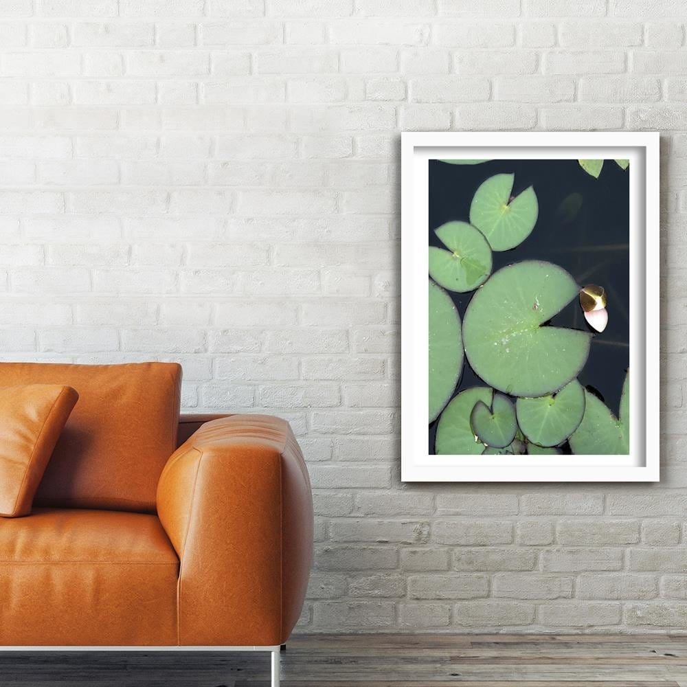 Glezna baltā rāmī - Water Lily Leaves Home Trends DECO