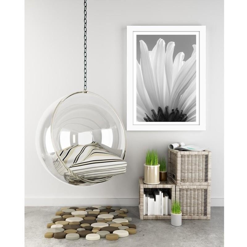 Glezna baltā rāmī - White chrysanthemums 2 Home Trends DECO