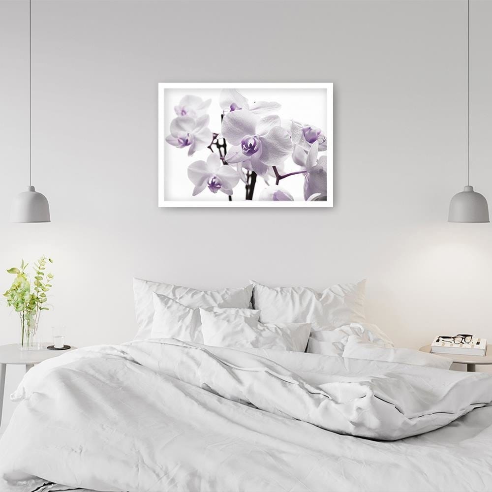 Glezna baltā rāmī - White Orchid 3 Home Trends DECO