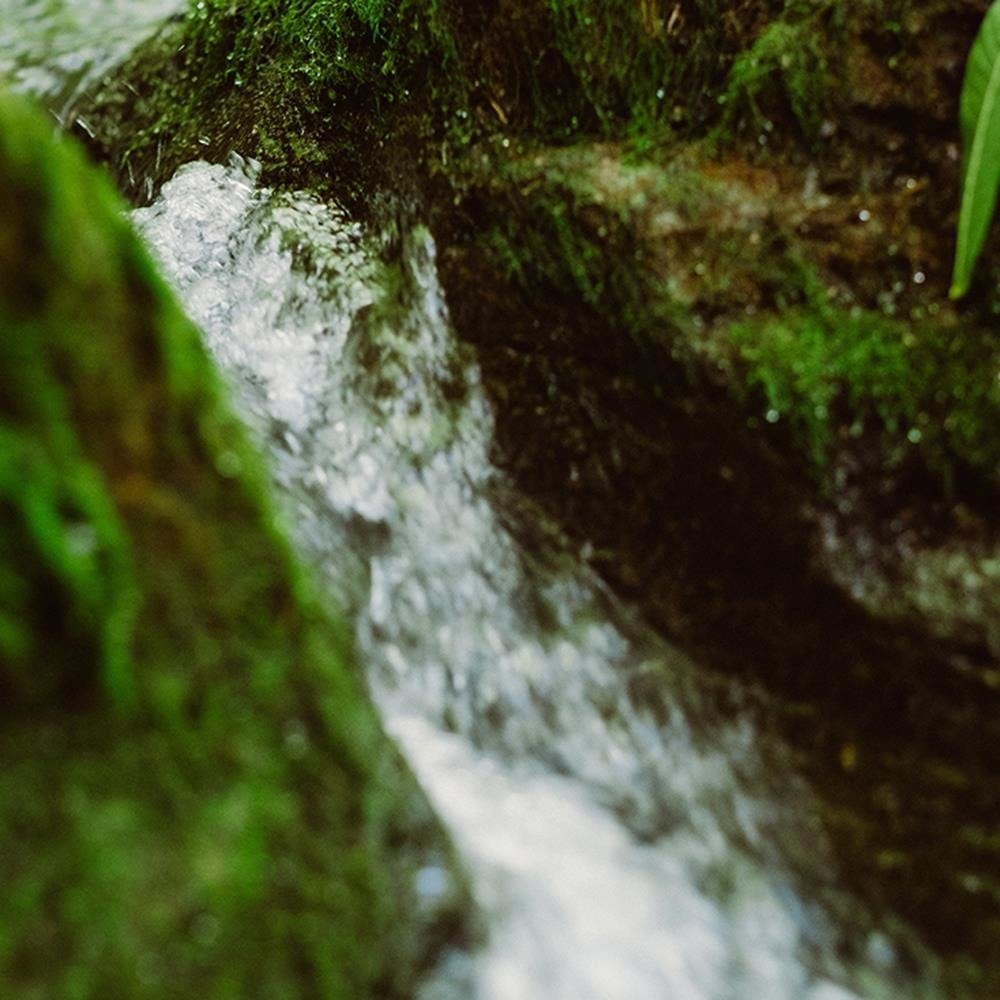 Glezna baltā rāmī - Wild River Home Trends DECO