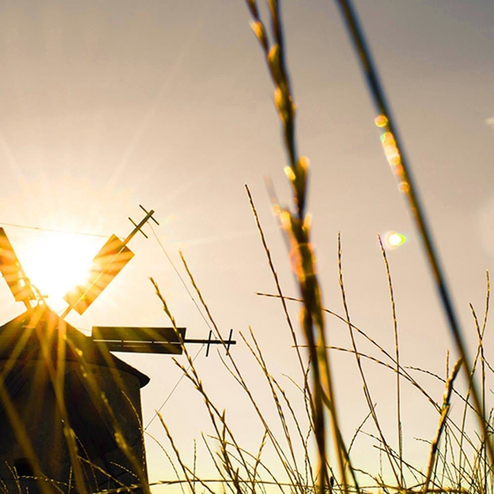 Glezna baltā rāmī - Windmill At Sunset 3 Home Trends DECO