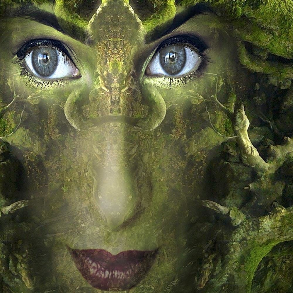 Glezna baltā rāmī - Woman's Face In Moss Fantasy Home Trends DECO
