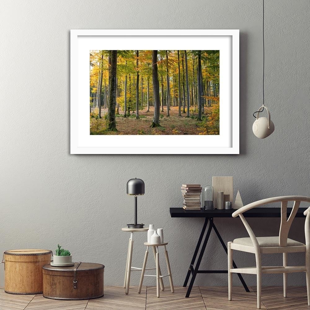 Glezna baltā rāmī - Yellow Autumn Forest Home Trends DECO