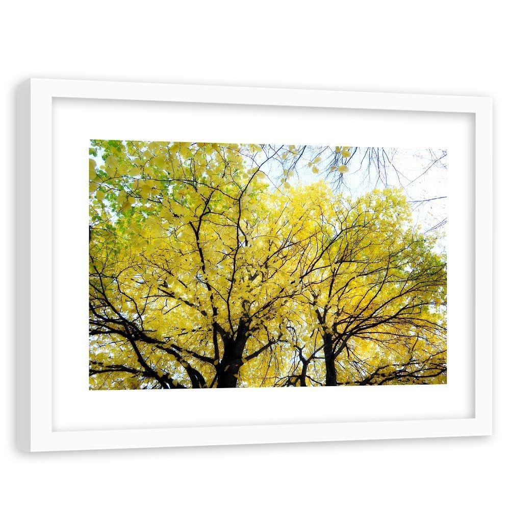 Glezna baltā rāmī - Yellow Leaves On A Tree Home Trends DECO