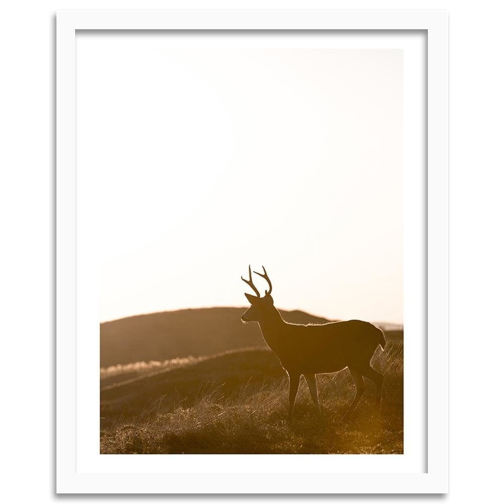 Glezna baltā rāmī - Young Deer Home Trends DECO