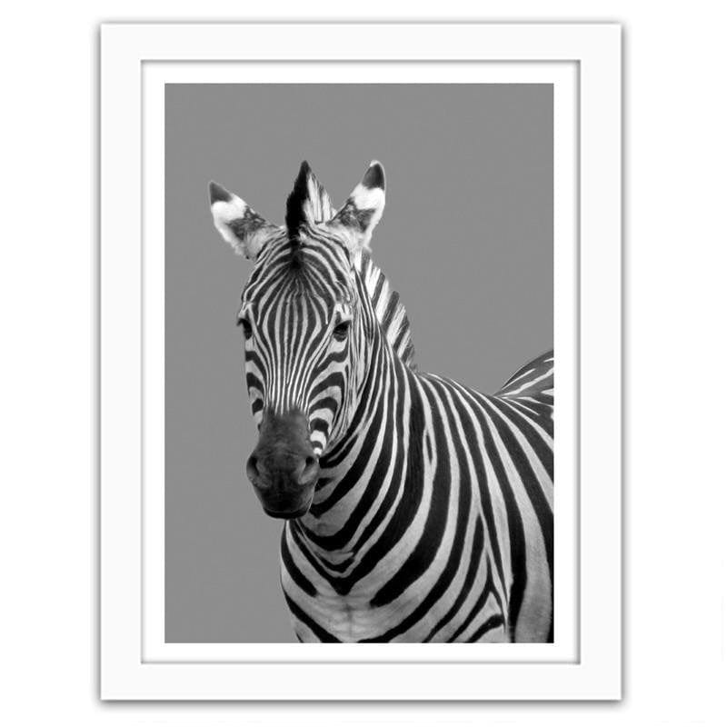 Glezna baltā rāmī - Zebra in black and white Home Trends DECO