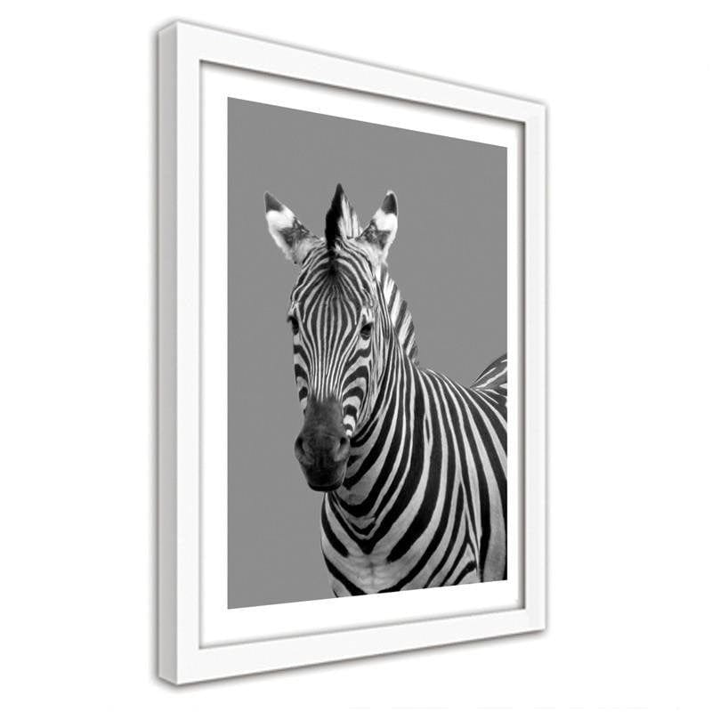 Glezna baltā rāmī - Zebra in black and white Home Trends DECO