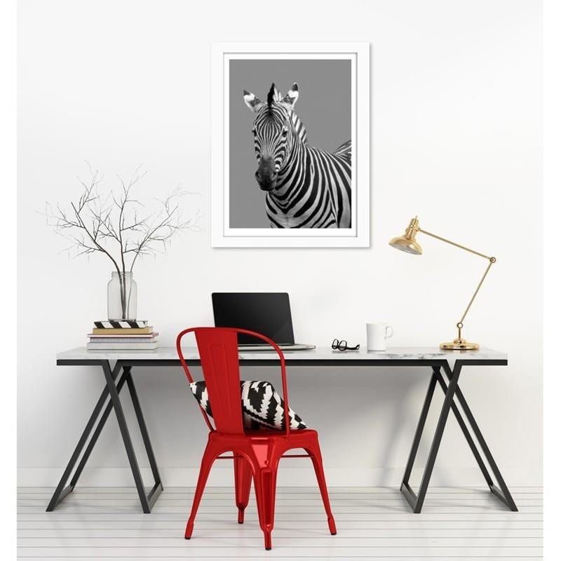Glezna baltā rāmī - Zebra in black and white Home Trends DECO