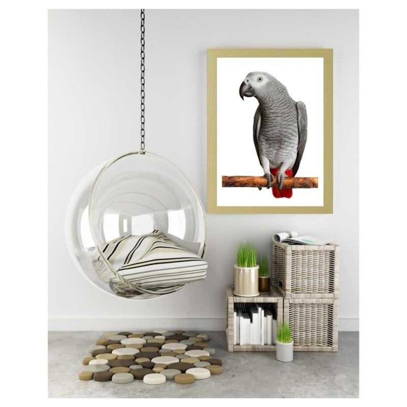 Glezna bēšā rāmī - A jacoon parrot Home Trends DECO