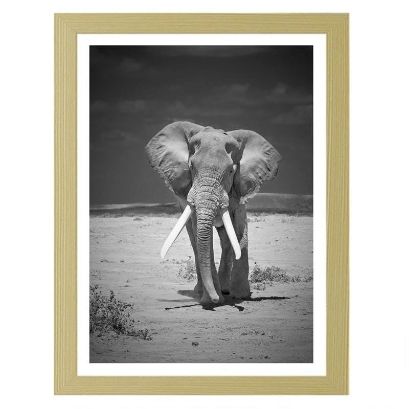 Glezna bēšā rāmī - A lonely wandering elephant Home Trends DECO