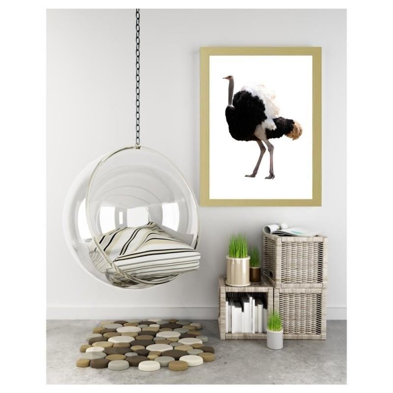 Glezna bēšā rāmī - An ostrich with beautiful feathers Home Trends DECO