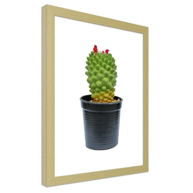 Glezna bēšā rāmī - Cactus on white background Home Trends DECO