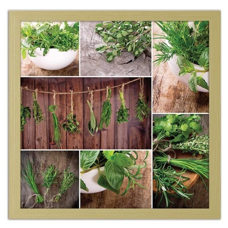 Glezna bēšā rāmī - Collected herbs Home Trends DECO