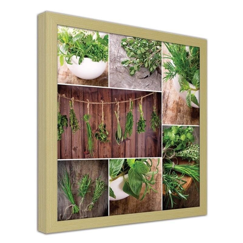 Glezna bēšā rāmī - Collected herbs Home Trends DECO