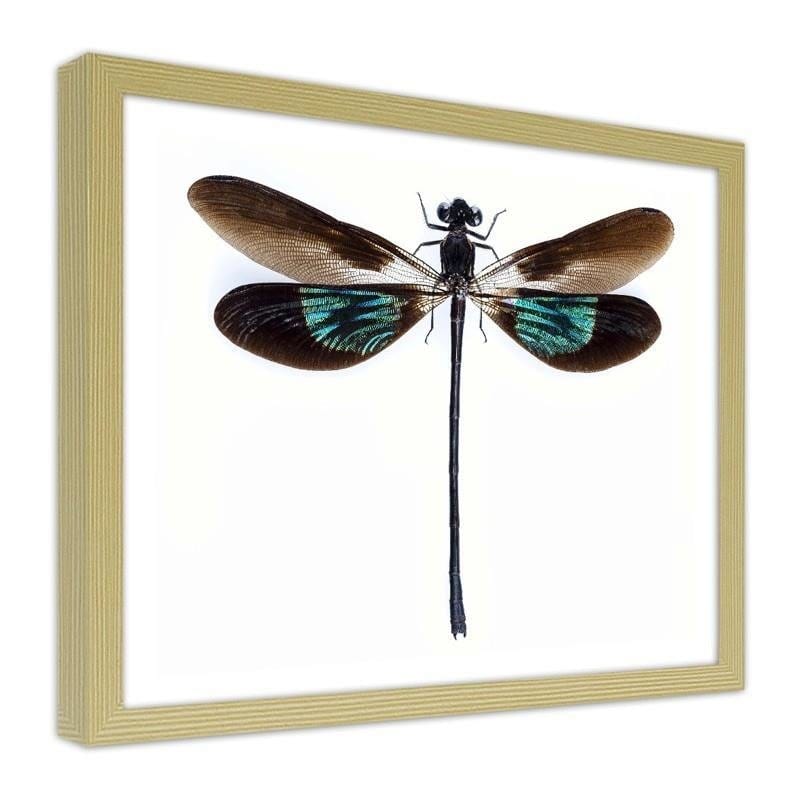 Glezna bēšā rāmī - Dragonfly Home Trends DECO