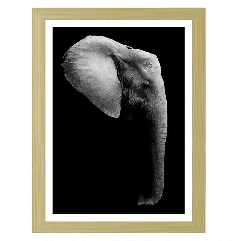 Glezna bēšā rāmī - Elephant in black and white Home Trends DECO