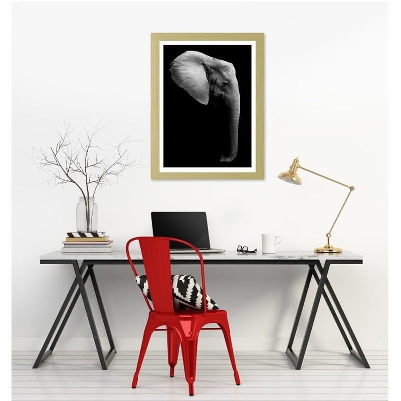 Glezna bēšā rāmī - Elephant in black and white Home Trends DECO