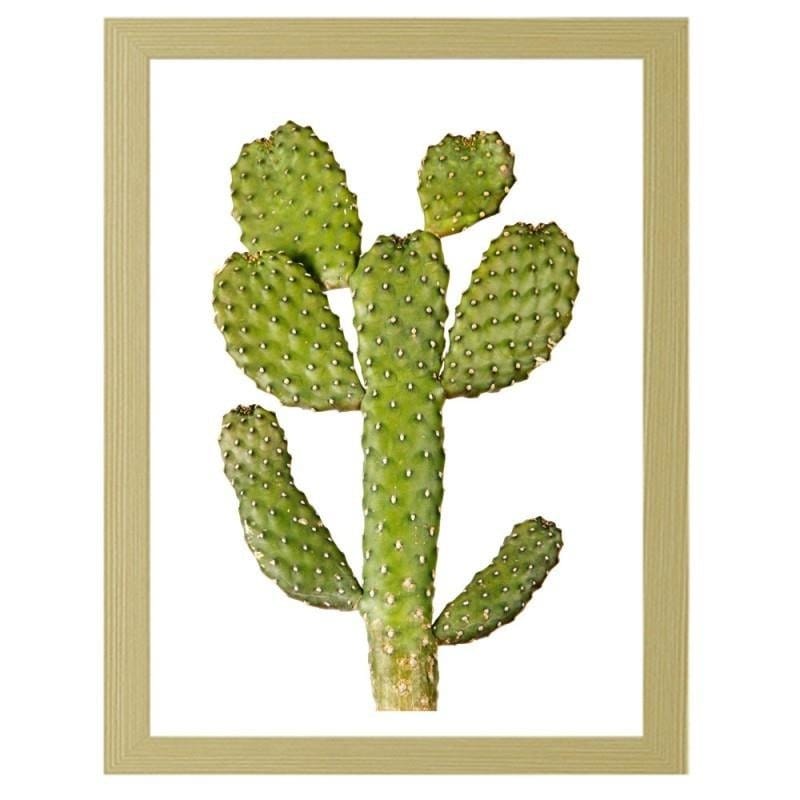 Glezna bēšā rāmī - Green cactus Home Trends DECO