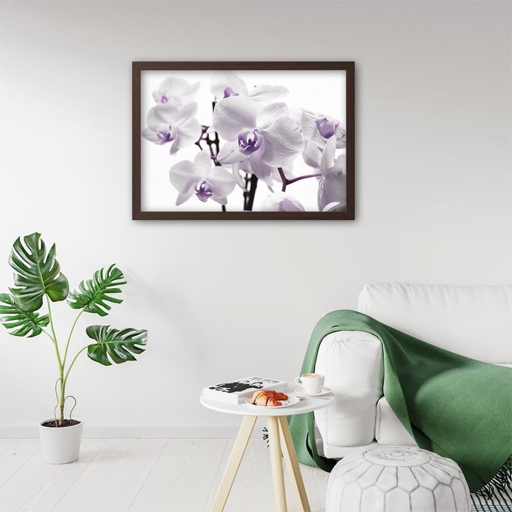 Glezna brūnā rāmī - White Orchid 3 Home Trends DECO
