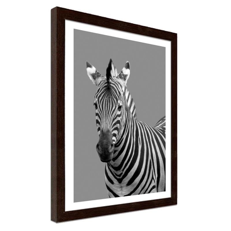 Glezna brūnā rāmī - Zebra in black and white Home Trends DECO