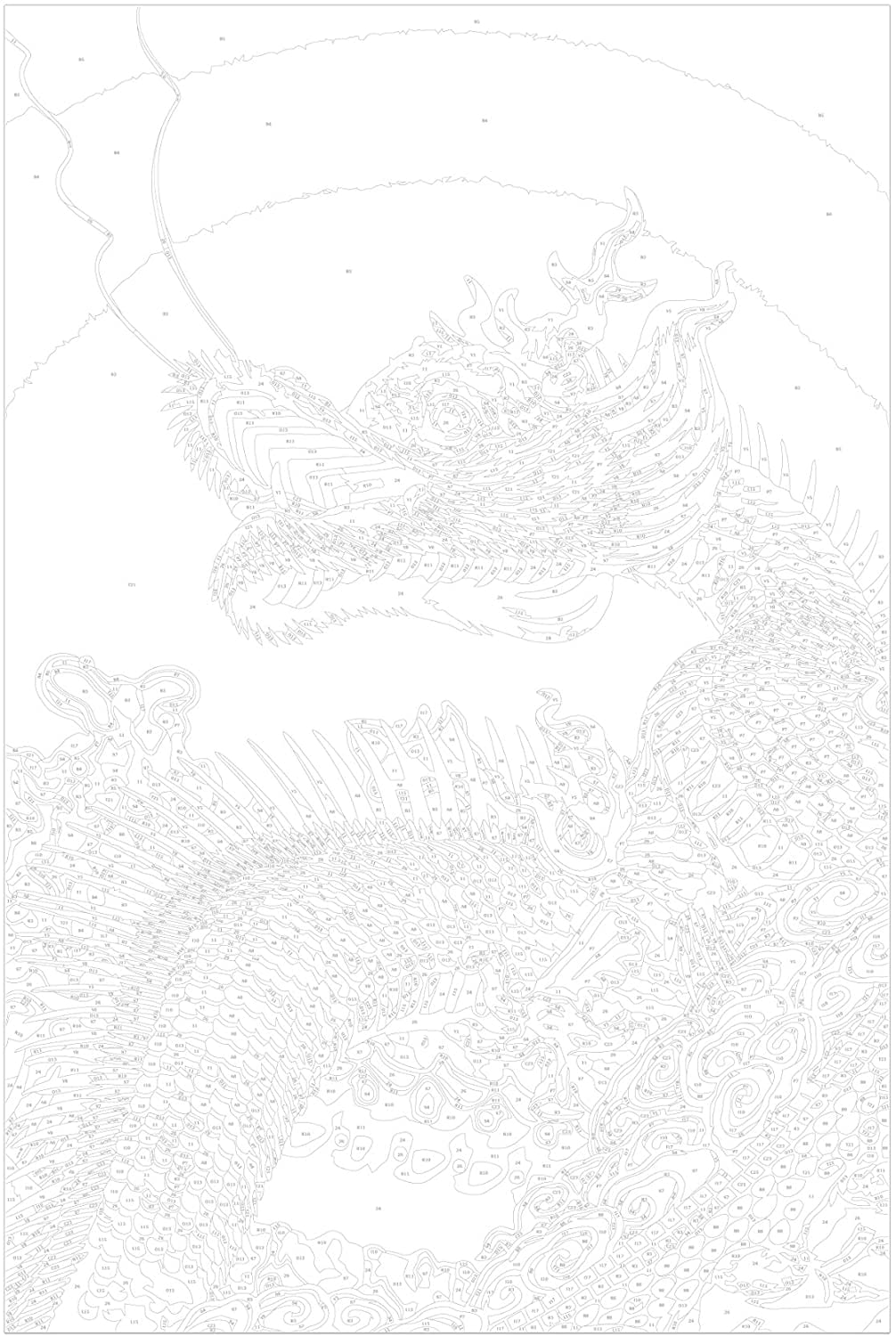 Glezna izkrāso pēc cipariem - Colourful Dragon 40x60 cm Artgeist